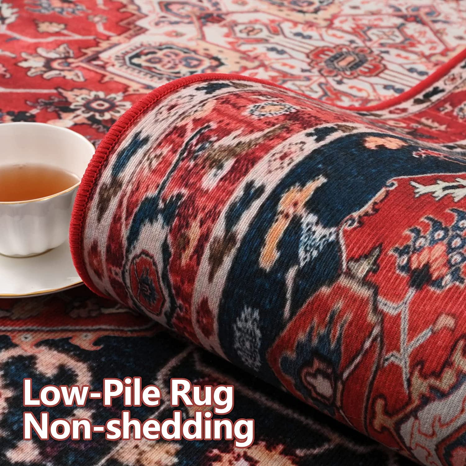 Lochas Vintage Bohemian Area Rug for Living Room, Retro Boho Rug Bedroom Indoor Print Carpet, 2' x 3',Red
