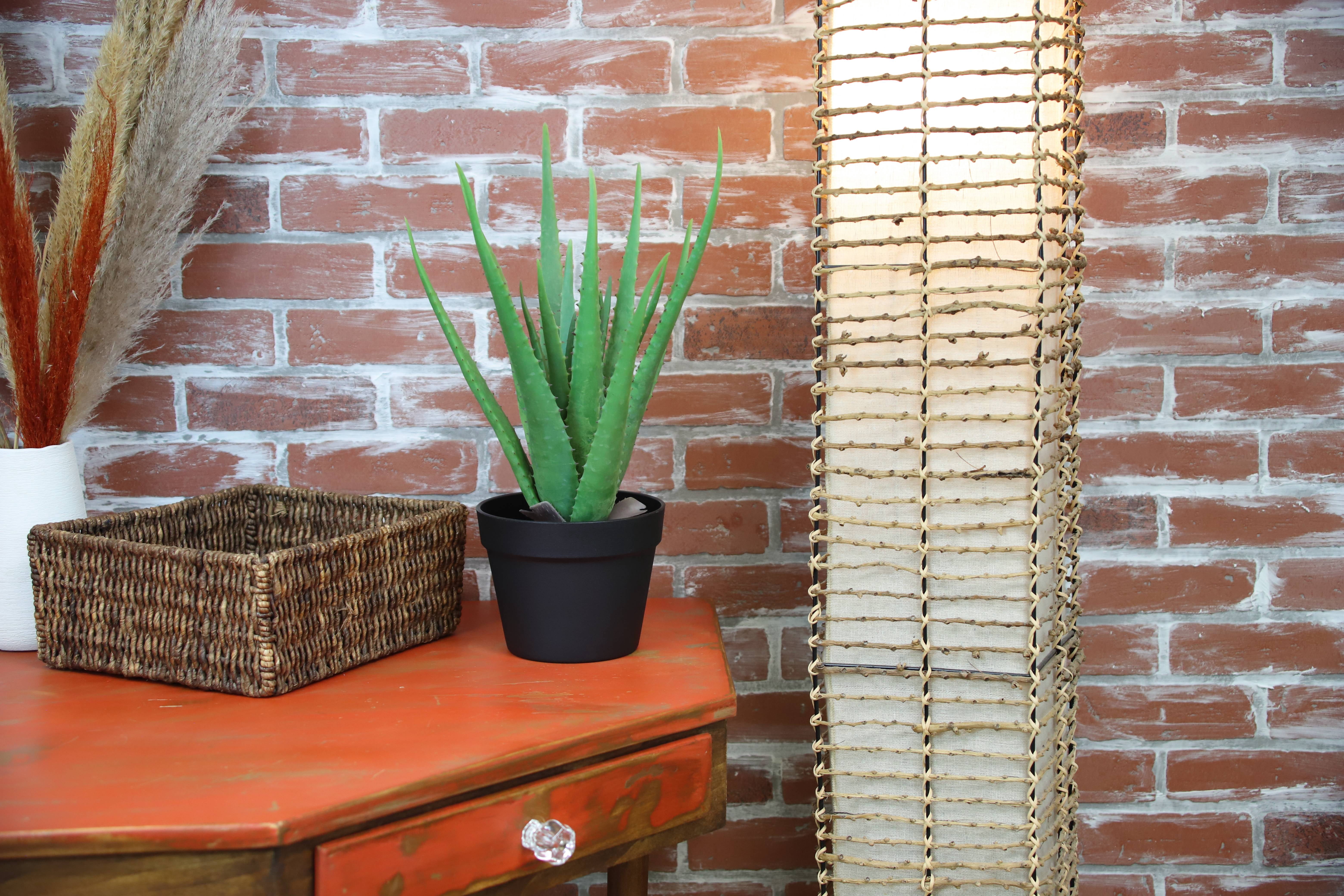 The Mod Greenhouse 19" Artificial Green Aloe Vera Plant in a Matte Black Grower's Pot