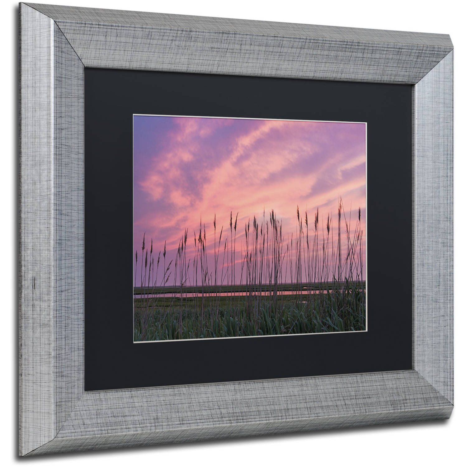 Trademark Fine Art "Marsh Reeds" Canvas Art by Michael Blanchette Photography Black Matte, Silver Frame