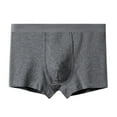thumbnail image 1 of Ceisia Men's Solid Cotton Stretch Mid-Rise Boxer Briefs for Comfort & Daily Wear Gray L Gifts, 1 of 3