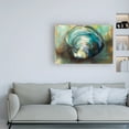 thumbnail image 3 of Trademark Fine Art 'Solo Quahog' Canvas Art by Jeanette Vertentes, 3 of 3