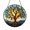 Acrylic 3.5 Inch, variant on Tree of Life Stained Glass Suncatcher Window Hanging, Sun and Roots Symbol Decor, Meaningful Gift for Her