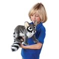 thumbnail image 4 of Folkmanis Puppets - 3122 | Ringtail Cat Puppet, 4 of 5
