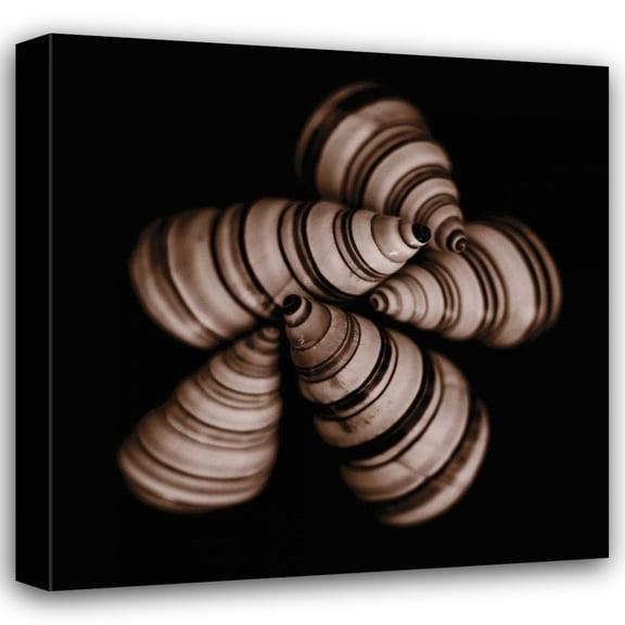 Michael Faragher 15x15 Gallery Wrapped Canvas Wall Art Titled - Focus
