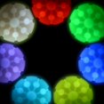 thumbnail image 3 of Disco LED Ball Nite Size GlowStreak Disc-O, activado por movimiento, 3 of 8