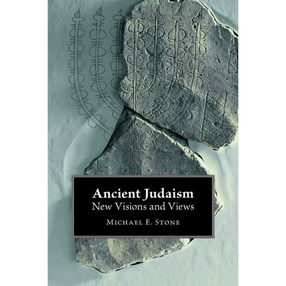 Ancient Judaism : New Visions and Views (Paperback)