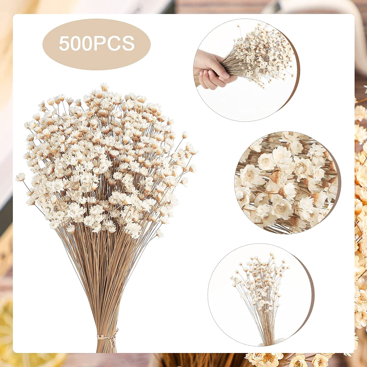 500 Pcs Natural Dried Flowers Mini Chamomile Star Daisy, White Floral Bouquet For Wedding Vase Arrangements Decor