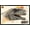 Black Framed Version, variant on Jurassic World: Dominion - Ghost Wall Poster, 14.725" x 22.375"
