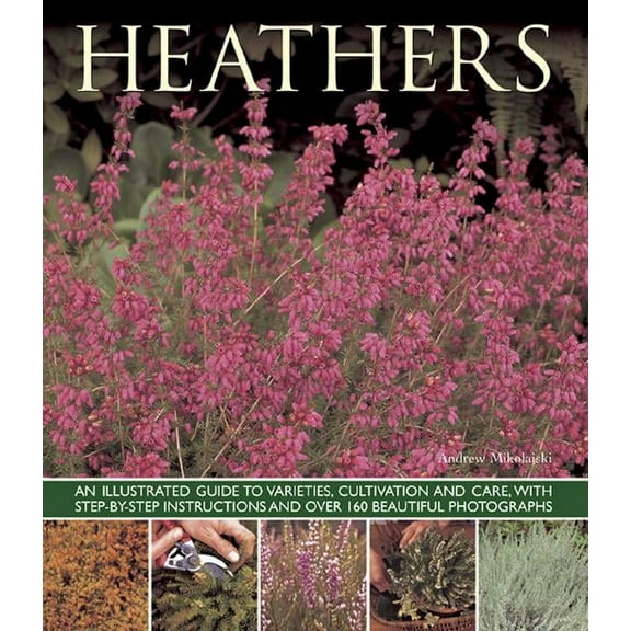 Heathers: An Illustrated Guide to Varieties, Cultivation and Care, with Wtep-By-Step Instructions and Over 160 Beautiful Photographs (Paperback)