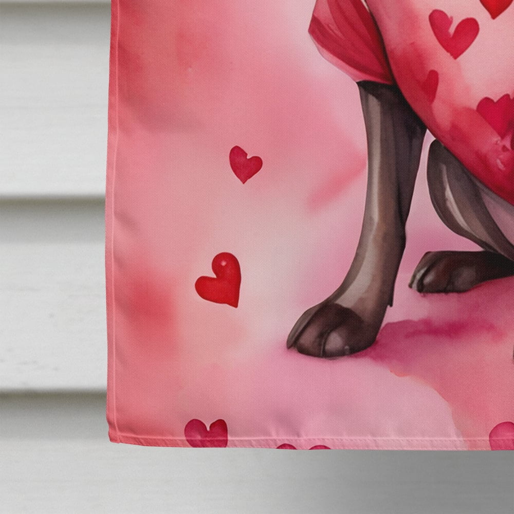 Chocolate Labrador Retriever My Valentine House Flag 28 in x 40 in