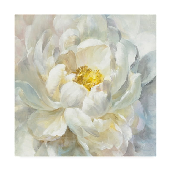 Trademark Fine Art 'Summer Joy I' Canvas Art by Danhui Nai