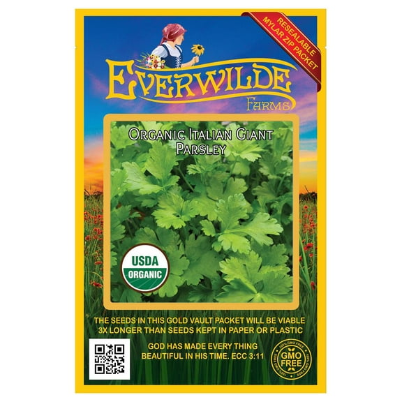 Everwilde Farms - 500 Organic Italian Giant Parsley Seeds - Gold Vault Jumbo Bulk Seed Packet