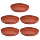 thumbnail image 1 of Base de macetas para plantas suculentas de 5 piezas, 1 of 3