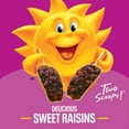 thumbnail image 5 of Kellogg's Raisin Bran Giant Size Cereal, 5 of 5
