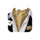 thumbnail image 1 of Conjunto de Ascot Barry.Wang Oro Seda Corbata y Pañuelo de Bolsillo, 1 of 6