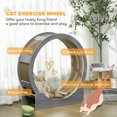 thumbnail image 4 of PawHut 36" Cat Wheel for Indoor Cats with Brake, Scratching Pads, Grey, 4 of 10