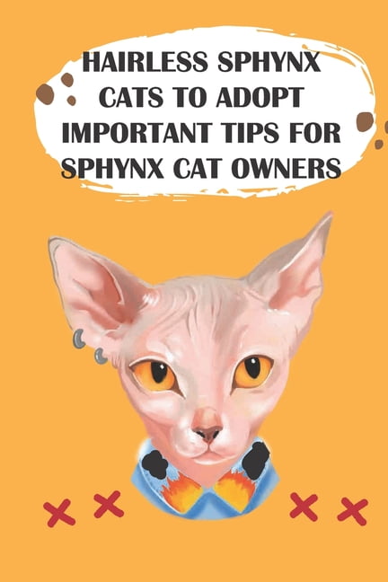 sphynx cat essentials