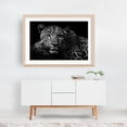 thumbnail image 6 of Portrait of a Leopard 01 - Photography Wildlife Black and White Animal Nature Portrait Unframed Wall Art Print 16 x 24 inches, 6 of 7