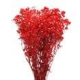 thumbnail image 1 of Secas bebés Aliento Flores 17 Pulgadas Rojo Natural bebés Aliento Ramas para Boda Fiesta Casa Decoración 1uds, 1 of 6