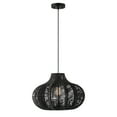thumbnail image 4 of Creative Co-Op Boho Handwoven Paper Rope and Metal Ceiling Pendant Lamp, Black, 4 of 9