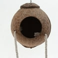 thumbnail image 2 of Alimentador Del Pájaro Colco Nido de aves de coco Decorativo, 2 of 4