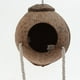 thumbnail image 2 of Nido de Aves de Coco Yuyangstore para Pequeñas Mascotas, 2 of 4