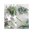 thumbnail image 5 of Topumt Eucalyptus Money Leaf Simulation Green Plant Home Decor, 5 of 5