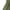 Army Green, variant on Lmnyox Drawstring Shorts Women's Casual Elastic Waist Shorts with Pocket Summer Outdoor Athletic Shorts