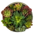 thumbnail image 3 of Vickerman FH182801 Pot de Succulentes Mélangé en Béton de 6 Po, 3 of 5