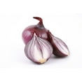 thumbnail image 2 of Red Onion Wall Mural by Wallmonkeys Peel and Stick Graphic (24 in H x 24 in W) WM39750, 2 of 4
