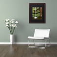 thumbnail image 3 of Trademark Fine Art "Moss and Rust" Canvas Art by Michael Blanchette Photography Black Matte, Wood Frame, 3 of 4