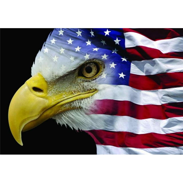 Independence United We Stand American Flag Eagle Country Bird Picture ...