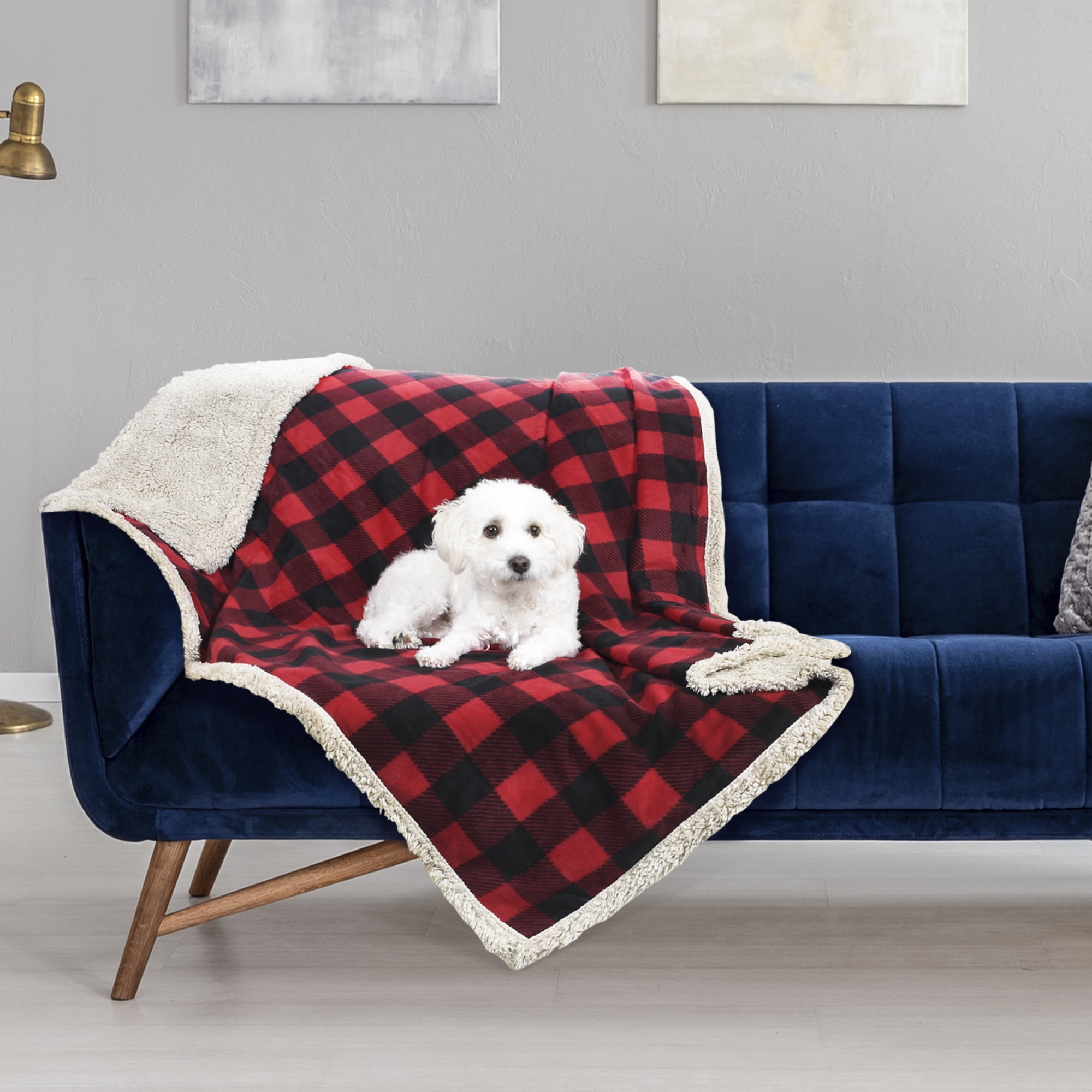 Super Soft Lightweight Bichon Frise Fleece Plush Flannel Warm Blankets for Couch Bed Chair Office Sofa Travelling Camping Dog Pattern Throw Blanket Home Decor 50x60 in Super Soft Lightweight Bichon Frise Fleece Plush Flannel Warm Blankets for Couch Bed Chair Office Sofa Travelling Camping Dog Pattern Throw Blanket Home Decor 50x60 in