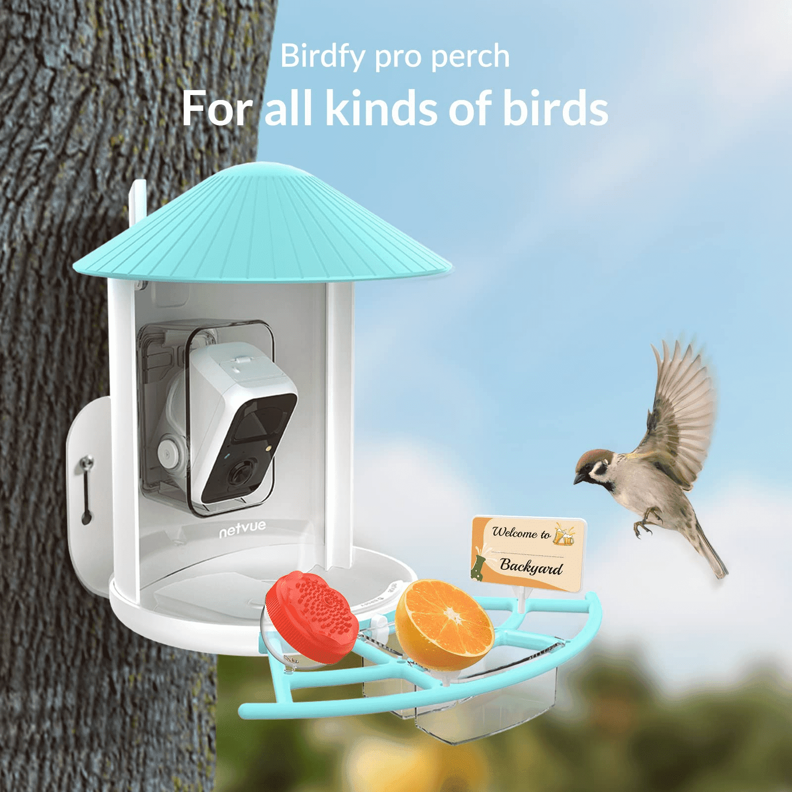 Netvue Birdfy Pro Perch - Wider Extension Perch to DIY Add-ons Including Suet Ball, Mini Hummingbird Feeder, Fruit Holder, Jelly Feeder and Welcome Card, Birds