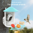 thumbnail image 3 of Netvue Birdfy Pro Perch - Wider Extension Perch to DIY Add-ons Including Suet Ball, Mini Hummingbird Feeder, Fruit Holder, Jelly Feeder and Welcome Card, Birds, 3 of 6