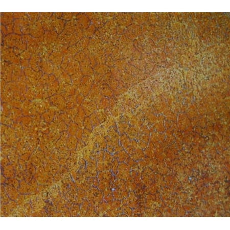 Marshalltown ESTANNIN4 4-Ounce Tannin Elements Concrete (Best Outdoor Concrete Stain)