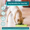 thumbnail image 3 of Slow Feeder LickMat Classic Playdate para perros, color rojo, 3 of 5