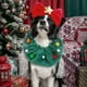 thumbnail image 3 of Sombrero verde de Papá Noel para mascotas, gorro navideño, gorro de reno para cachorro, gorro ajustable para árbol de Navidad, diadema para perro, bonitos accesorios para cabeza de perro pequeño., 3 of 5