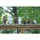 thumbnail image 5 of 2 Uds / Set Artificial Pájaro Taxidermia Decoración Del Jardín Sunnimix Decoy del búho artificial, 5 of 7
