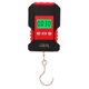 thumbnail image 3 of Báscula colgante digital Bling Bling resistente al agua de acero inoxidable portátil con gancho en forma de S de 0 a 50 kg, 3 of 12