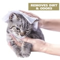 thumbnail image 2 of Toallitas limpiadoras Wahl Cat Refresh Oatmeal, 50 unidades, 2 of 7