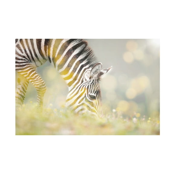 Trademark Fine Art Jesus Concepcion Alvarado BREAKFAST Canvas Wall Art