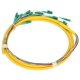 thumbnail image 2 of Cable Pigtail De Fibra Cable Pigtail De 12 Hilos De 1 5 M De Largo Con Baja Pérdida De Inserción Para Instrumentación Para Red De área Local Para Sistema De Comunicación, 2 of 8