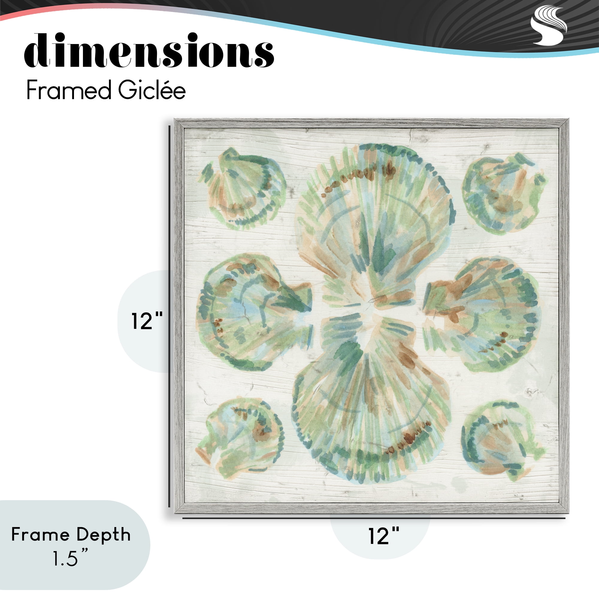 Stupell Industries Saltwashed Shells Symmetry Gray Framed Giclee Art, design by June Erica Vess