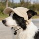thumbnail image 4 of Dog Hat Corduroy Pet Cap Adjustable Baseball Hat For Small Dogs Cats Summer Sun Protection Pet Cute Puppy Accessory Breathable Cap L, 4 of 7