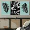 thumbnail image 2 of PixonSign Canvas Print Wall Art Set Palm Leaf & Succulent Display Floral Wilderness Photography Modern Art Rustic Relax/Calm Multicolor Black and White for Living Room, Bedroom, Office - 16"x24"x3, 2 of 5