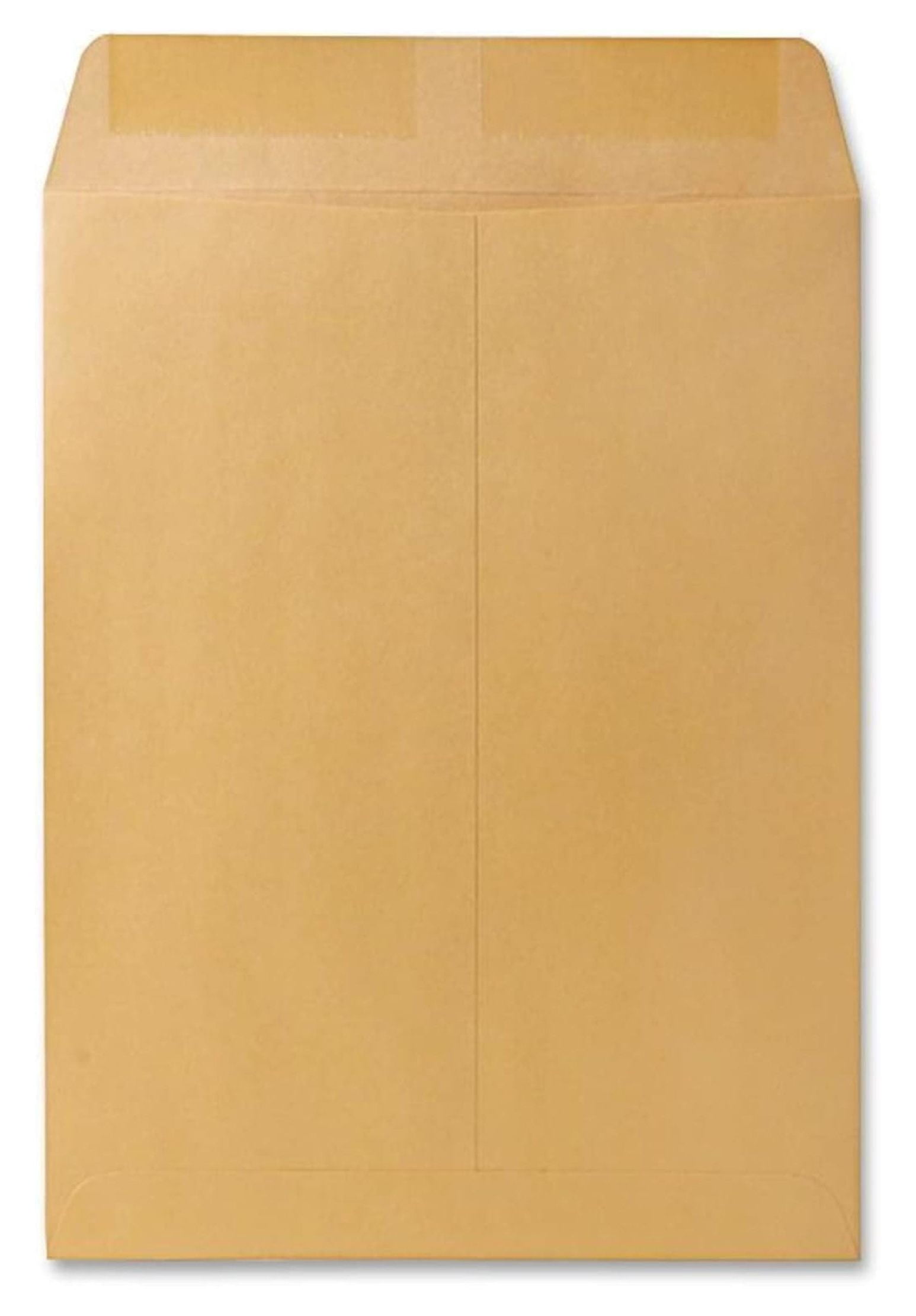 Catalog Mailing Envelopes, 9 1/2 x 12 1/2 Envelopes, Gummed, Heavy 28 lb. Paper, For Mailing, Organizing and Storage, 250 per Box (QUA41565)