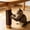 Brown, variant on Trimmable Adhesive Cat Scratch Mat, Beige Cloth Scratching Pad, Self-Adhesive for Cat Trees Furniture Walls, Protects Surfaces from Scratch Damage Durable