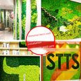 thumbnail image 3 of Musgo reno núcleo eterno musgo 500g flor artificial planta verde decoración de pared paisaje diy, 3 of 4
