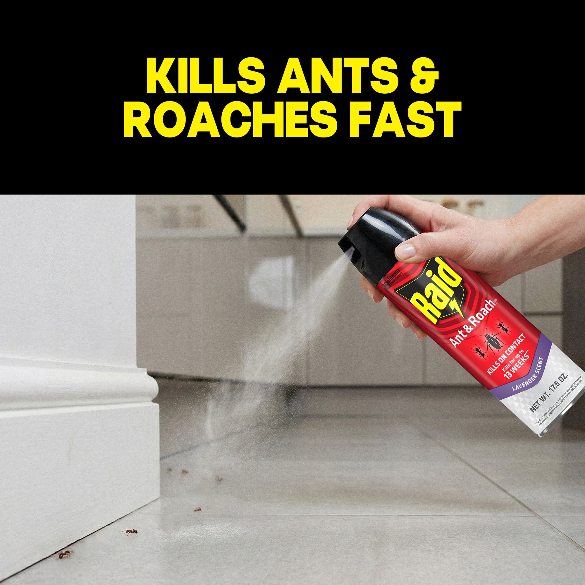 (6 pack) Raid Ant & Roach Killer Lavender Scent, 13 Week Indoor Bug Control Spray, 17.5 oz